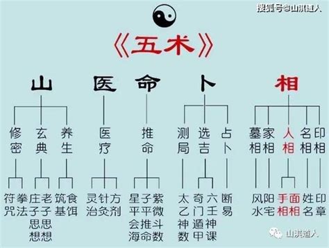 山醫|山、醫、命、相、卜：這傳統五術說的到底是啥？